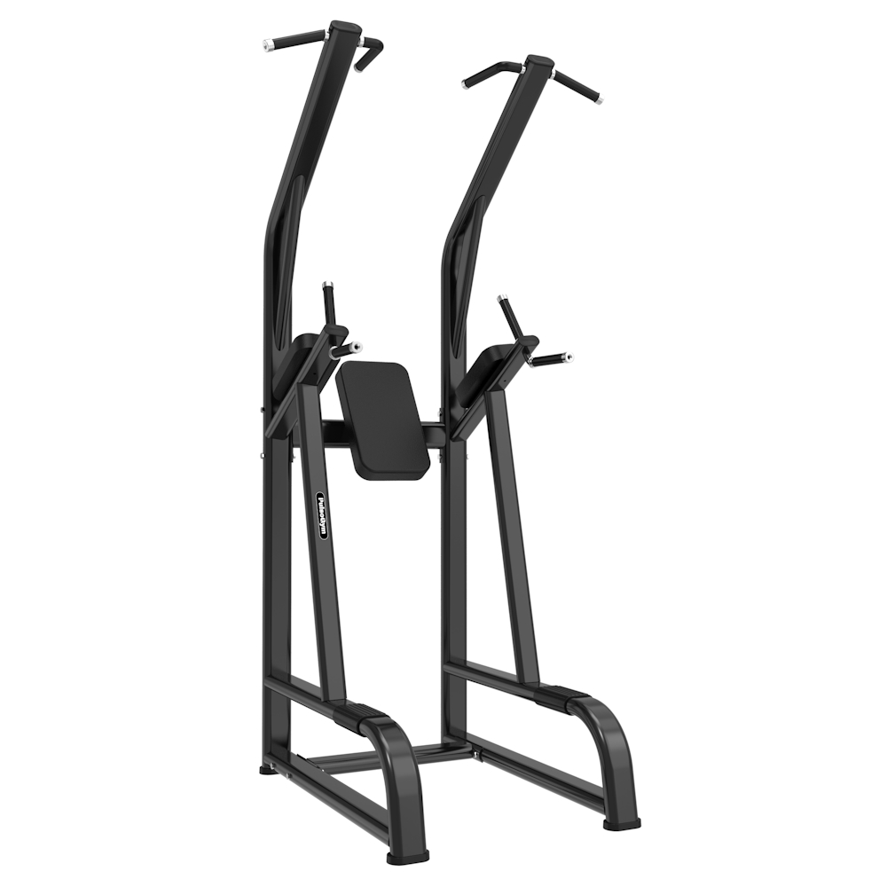 BT22 Chin Up/Dip & Knee Up