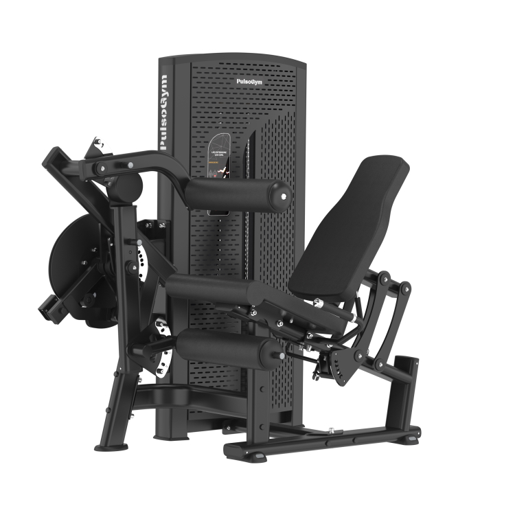 SA25 Leg Curl/Extension